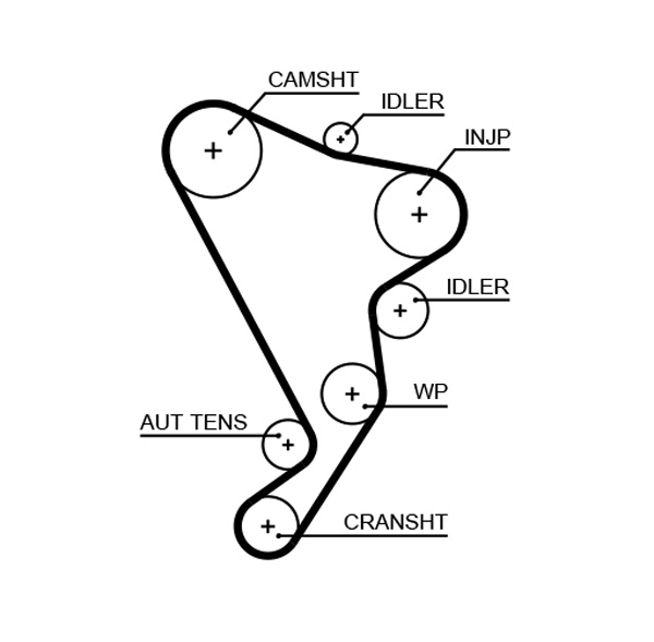 Timing Belt  Art. 5661XS