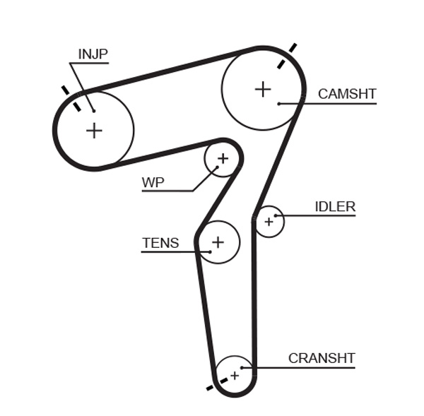 Timing Belt  Art. 5684XS