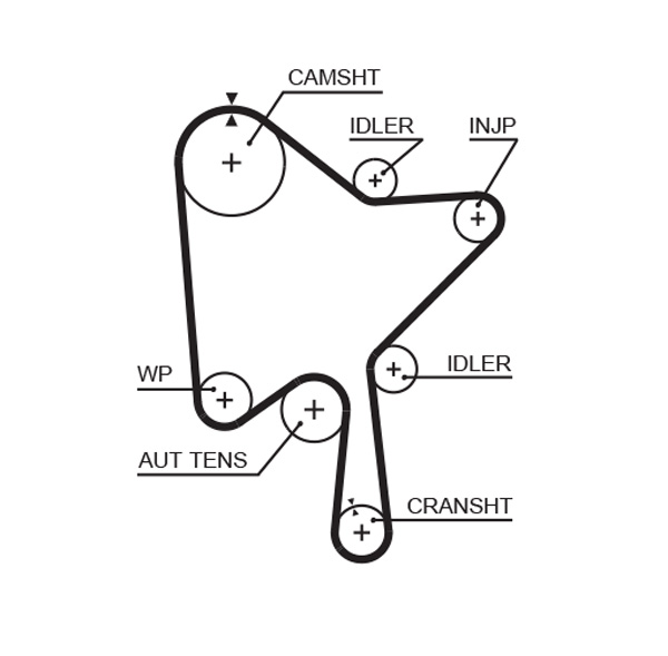 Timing Belt (Pulley side)  Art. 5686XS