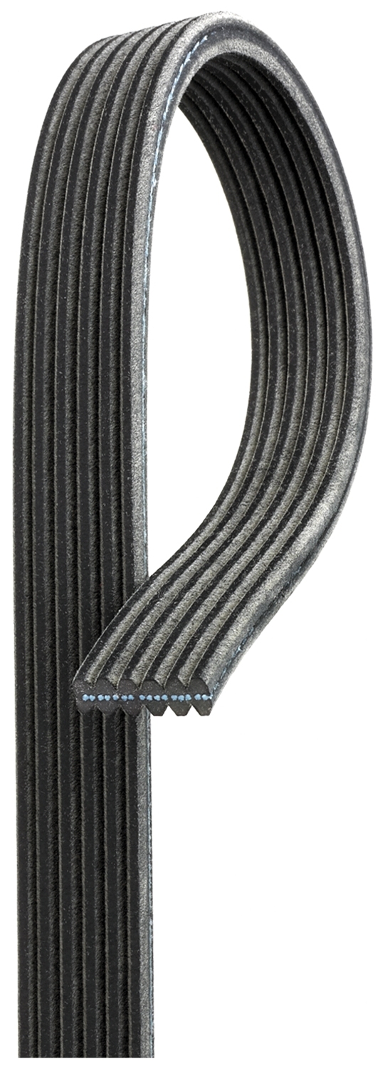 V-Ribbed Belt  Art. 6DPK1698