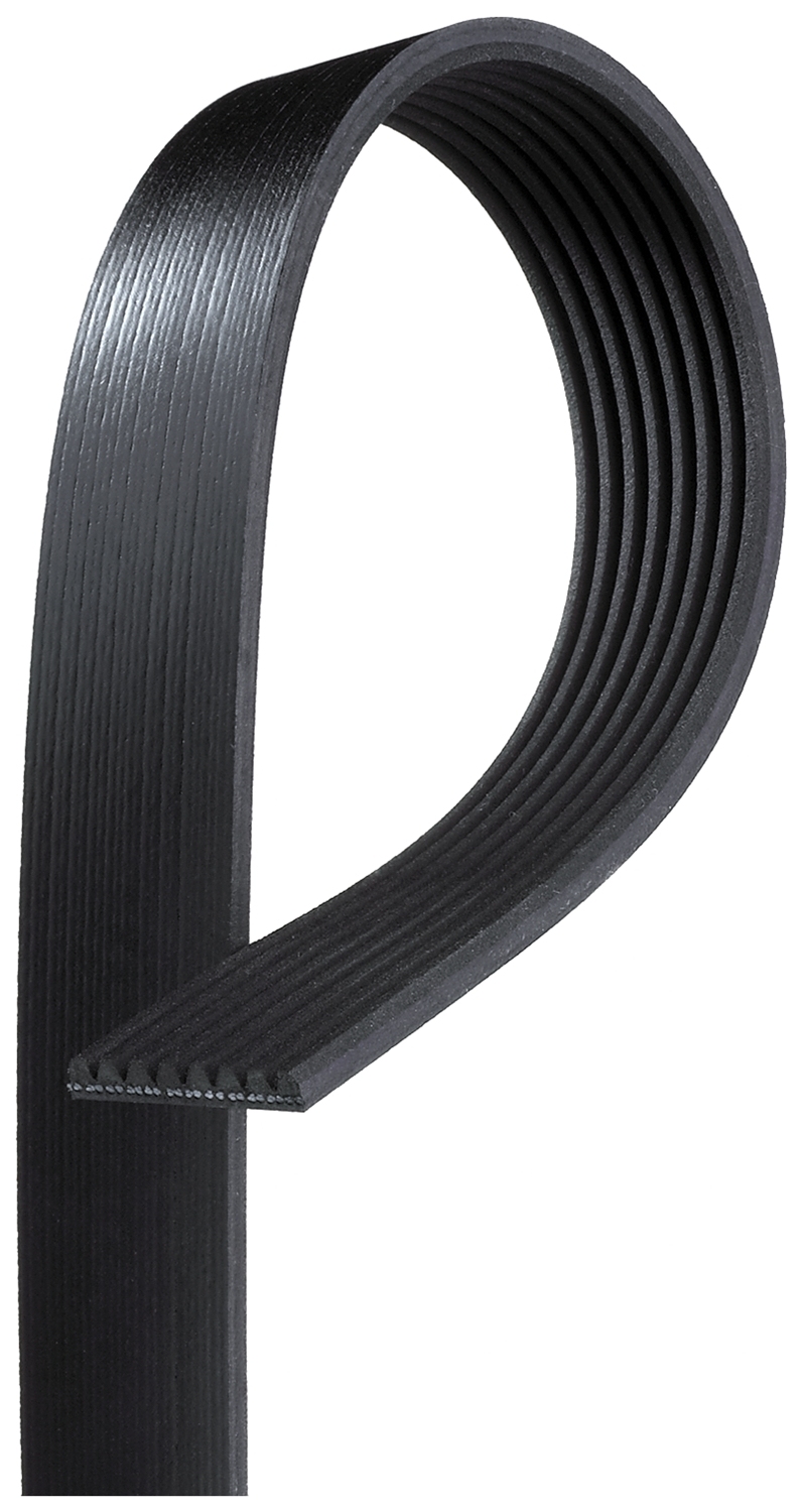 V-Ribbed Belt  Art. 8PK1392HD