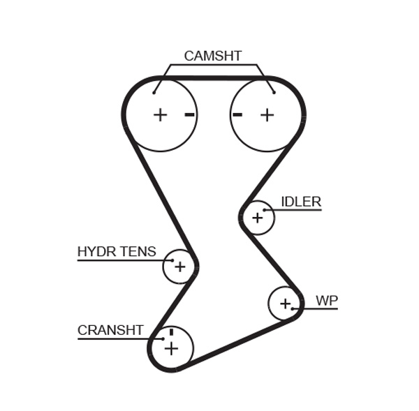 Timing Belt  Art. T246