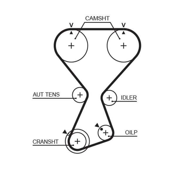 Timing Belt  Art. T313