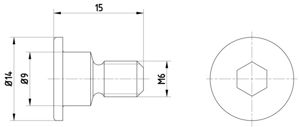 Bolt, brake disc (15)  Art. TPM0001