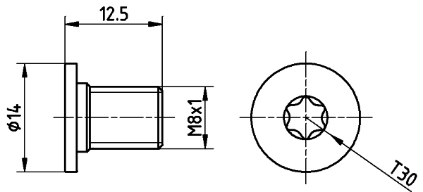 Bolt, brake disc (12.5)  Art. TPM0002