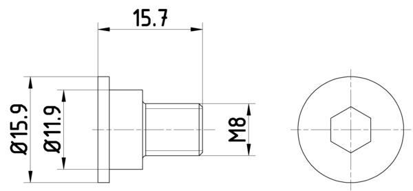 Bolt, brake disc (15.7)  Art. TPM0003