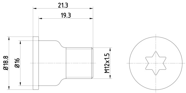 Bolt, brake disc (21.3)  Art. TPM0005