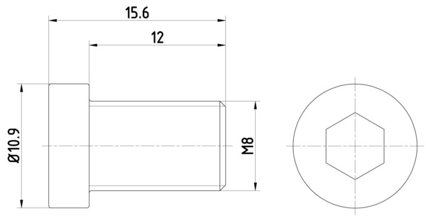 Bolt, brake disc (15.6)  Art. TPM0009