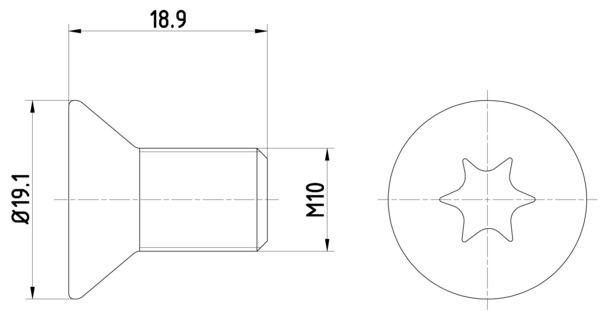 Bolt, brake disc (18.9)  Art. TPM0010