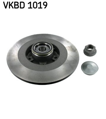 Brake Disc (Rear axle, Rear axle)  Art. VKBD1019