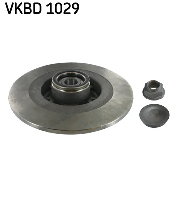 Brake Disc (Rear axle)  Art. VKBD1029