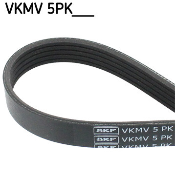 V-Ribbed Belt  Art. VKMV5PK1121