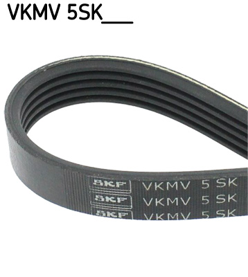 V-Ribbed Belt  Art. VKMV5SK748