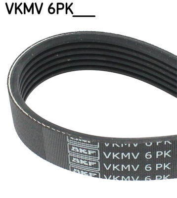 V-Ribbed Belt  Art. VKMV6PK1555