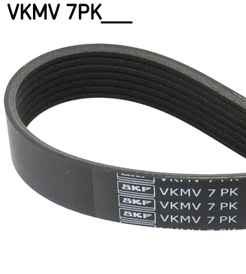 V-Ribbed Belt  Art. VKMV7PK1922