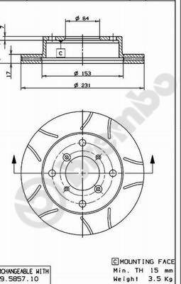 Brake Disc (Front axle)  Art. 09585775