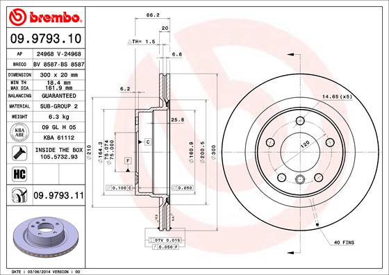 Brake Disc (Rear axle)  Art. 09979311