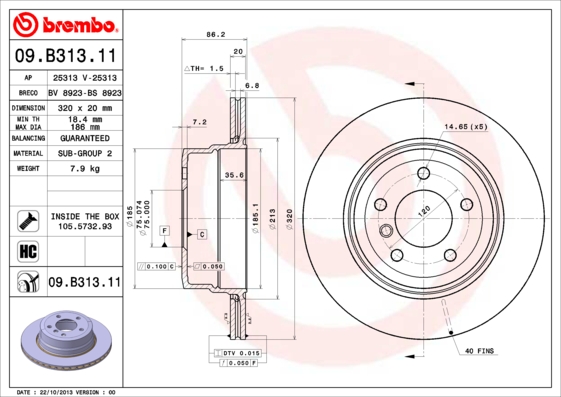 Brake Disc (Rear axle)  Art. 09B31311