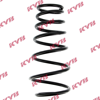 Suspension Spring (Rear axle)  Art. RG5009