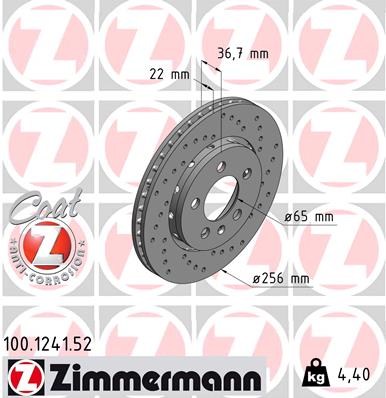 Brake Disc (Rear axle)  Art. 100124152