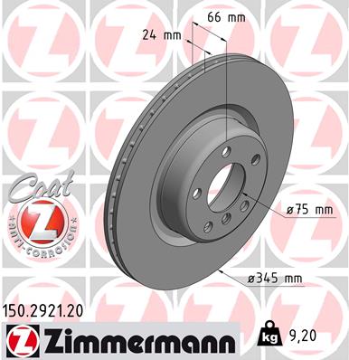 Brake Disc (Rear axle)  Art. 150292120