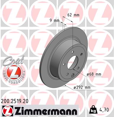 Brake Disc (Rear axle)  Art. 200251920