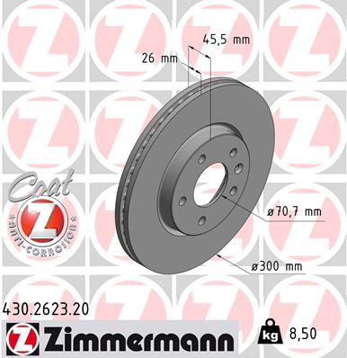 Brake Disc (Front axle)  Art. 430262320