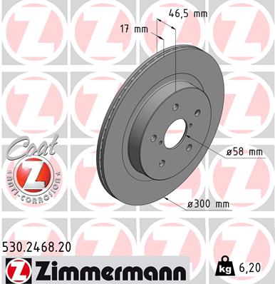 Brake Disc (Rear axle)  Art. 530246820