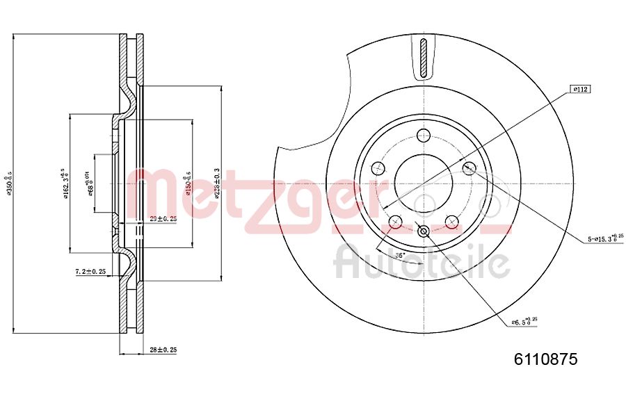 Brake Disc (Rear axle)  Art. 6110875