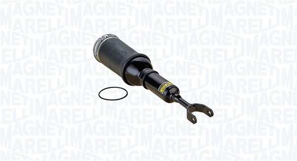 Air Suspension Strut (In front)  Art. 350031000001