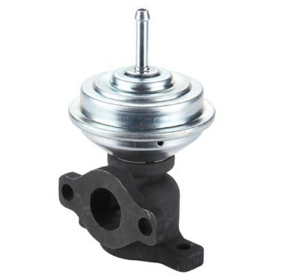 EGR Valve (555028)  Art. 571822112075