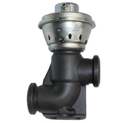 EGR Valve (5)  Art. 571822112103