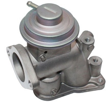 EGR Valve (555185)  Art. 571822112118