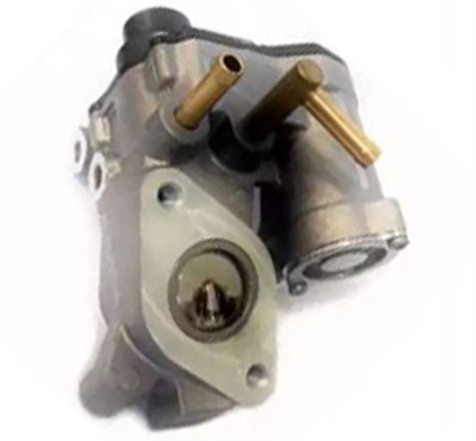 EGR Valve (555258)  Art. 571822112129