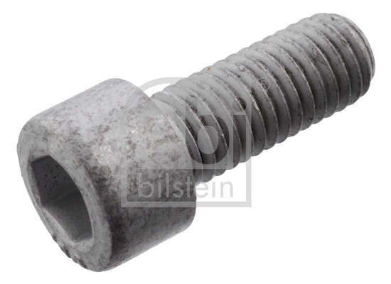 Axle Bolt, drive shaft  Art. 101235