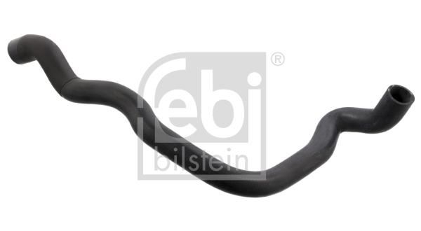 Radiator Hose (Below)  Art. 102487