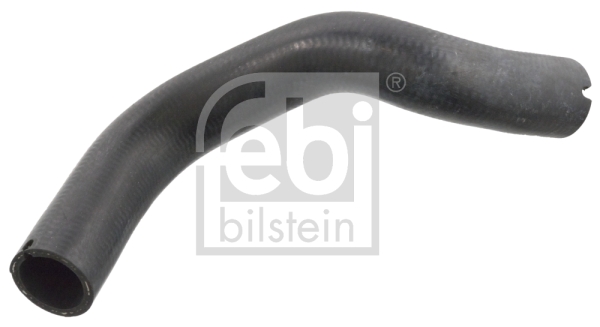 Radiator Hose (Below)  Art. 106237