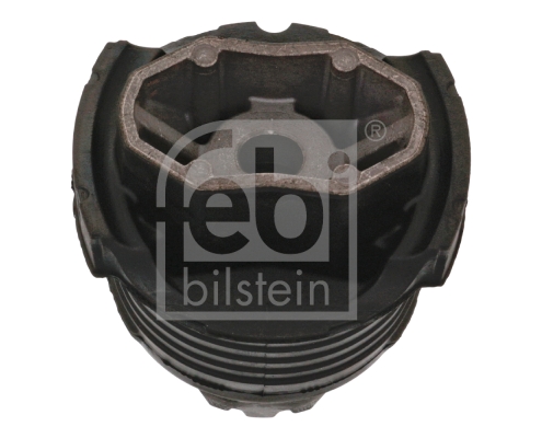 Bushing, axle beam (Rear axle, both sides)  Art. 48737