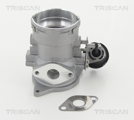 EGR Valve (555091)  Art. 881329056