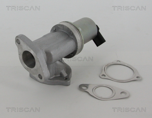 EGR Valve (without seals)  Art. 881343002