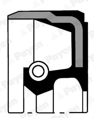 Shaft Seal, crankshaft (Front end)  Art. NA5103