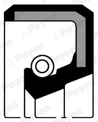 Shaft Seal, crankshaft (Gear side)  Art. NA584