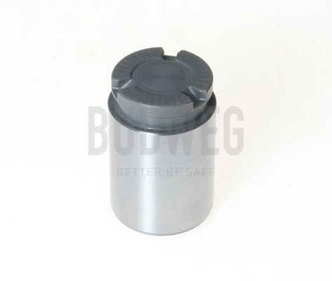 Piston, brake caliper (Rear axle)  Art. 233429