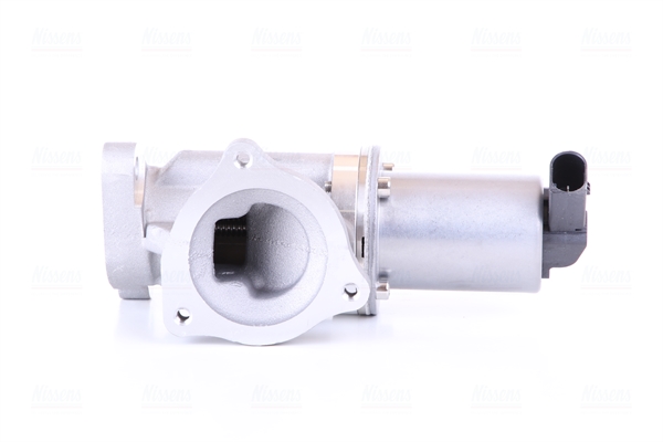 EGR Valve (2)  Art. 98167