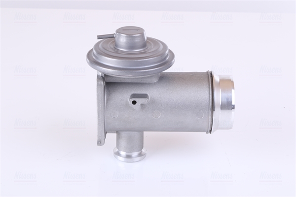 EGR Valve (Diaphragm valve)  Art. 98352