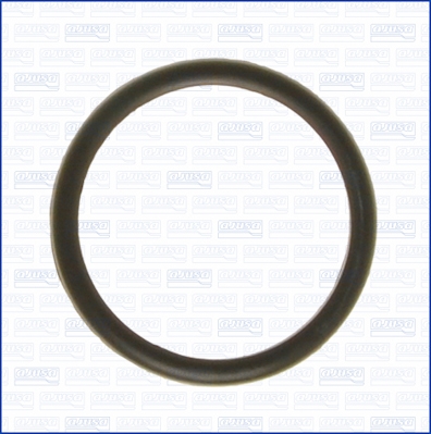 Seal, thermostat (Gear side)  Art. 00538100