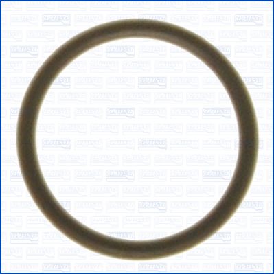 Seal Ring, oil drain plug (Pulley side)  Art. 16020800