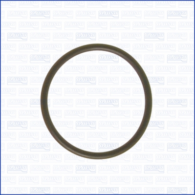 Gasket, coolant flange  Art. 16024400