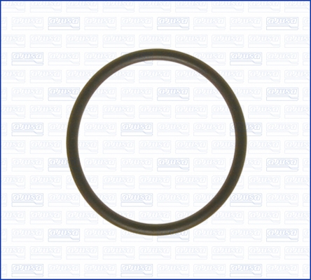 Gasket, thermostat housing (Front, Left)  Art. 16029000