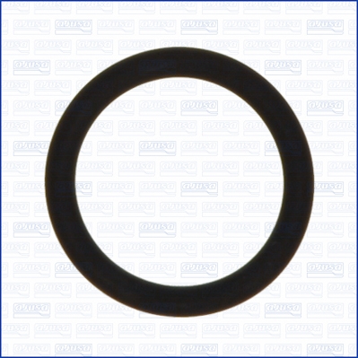 Seal Ring, charge air hose  Art. 16079900